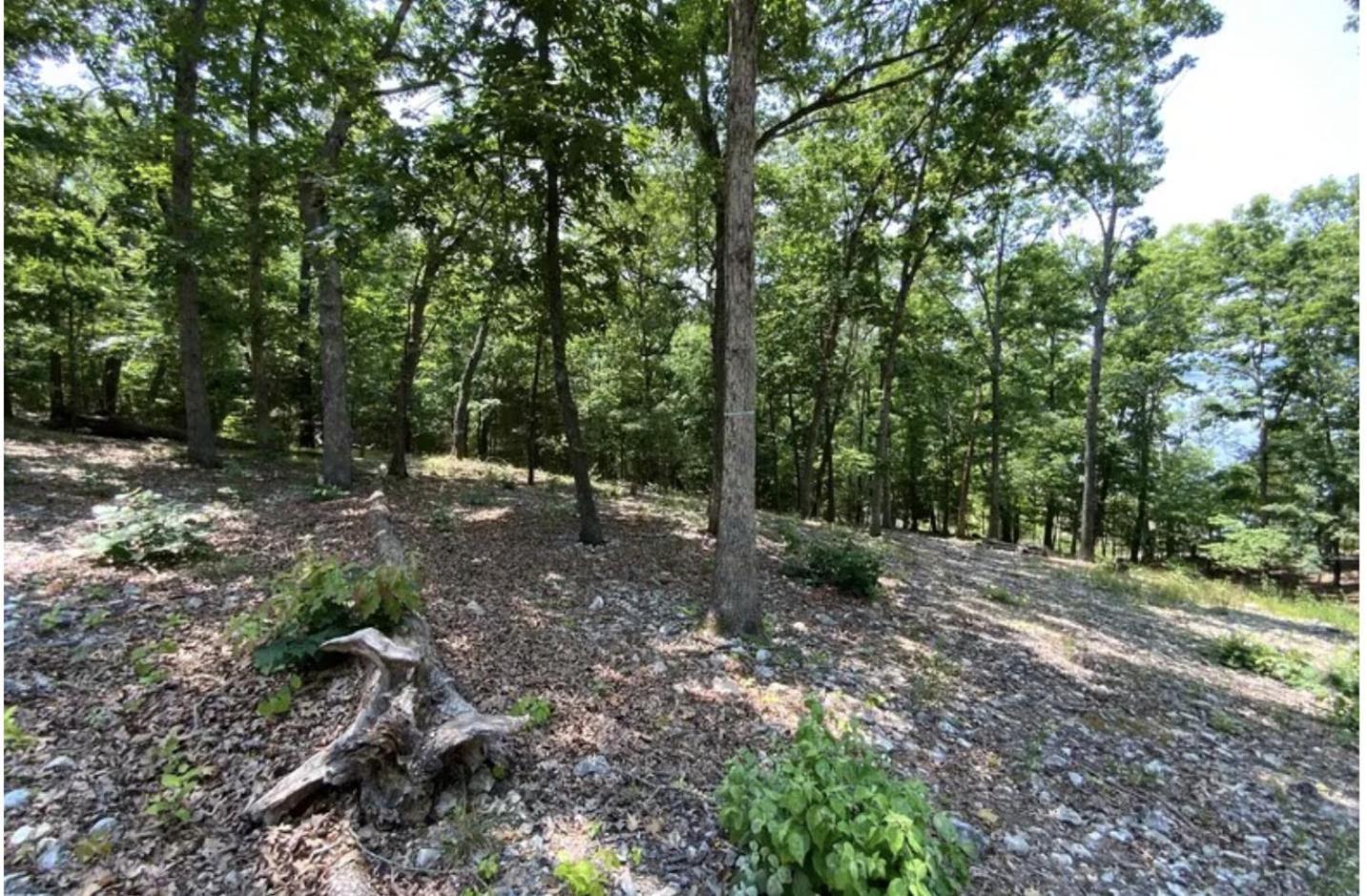 Driftwood Resort Bull Shoals Exteriör bild