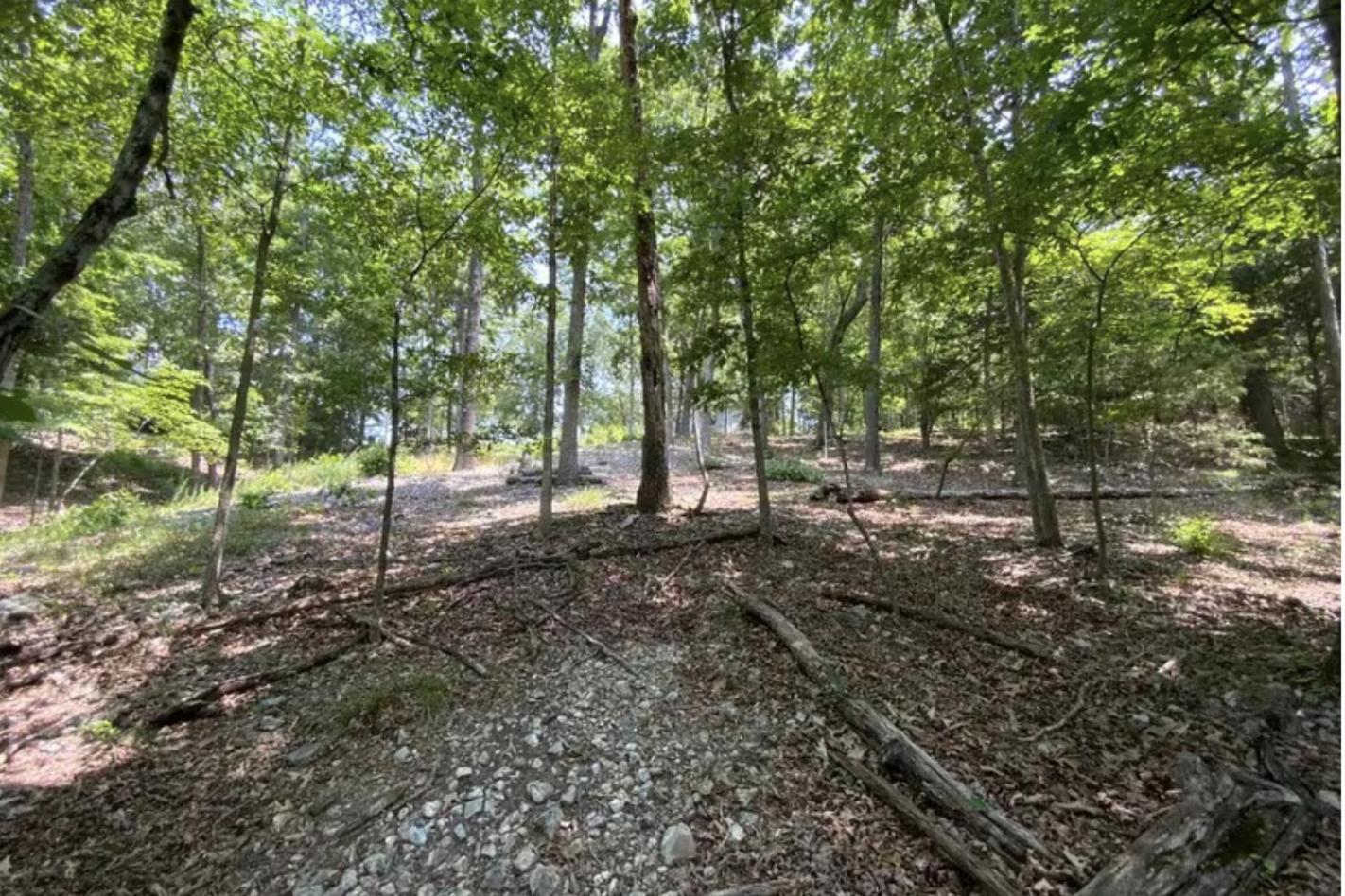 Driftwood Resort Bull Shoals Exteriör bild