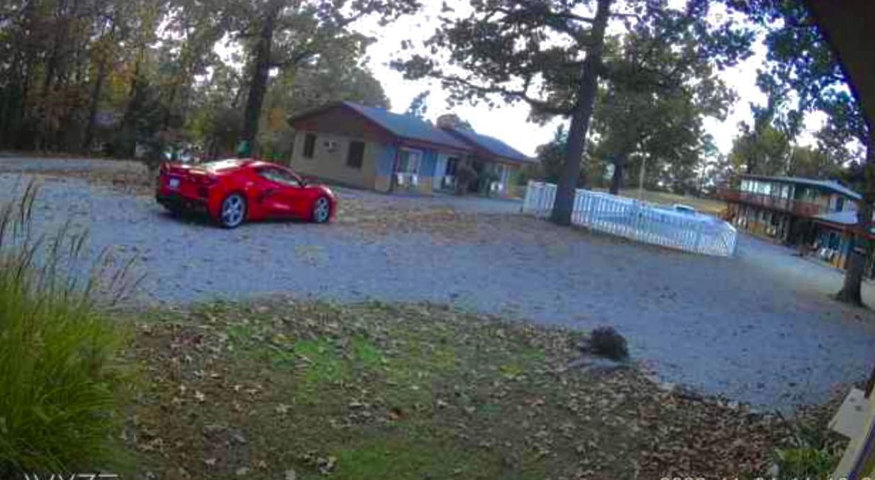 Driftwood Resort Bull Shoals Exteriör bild