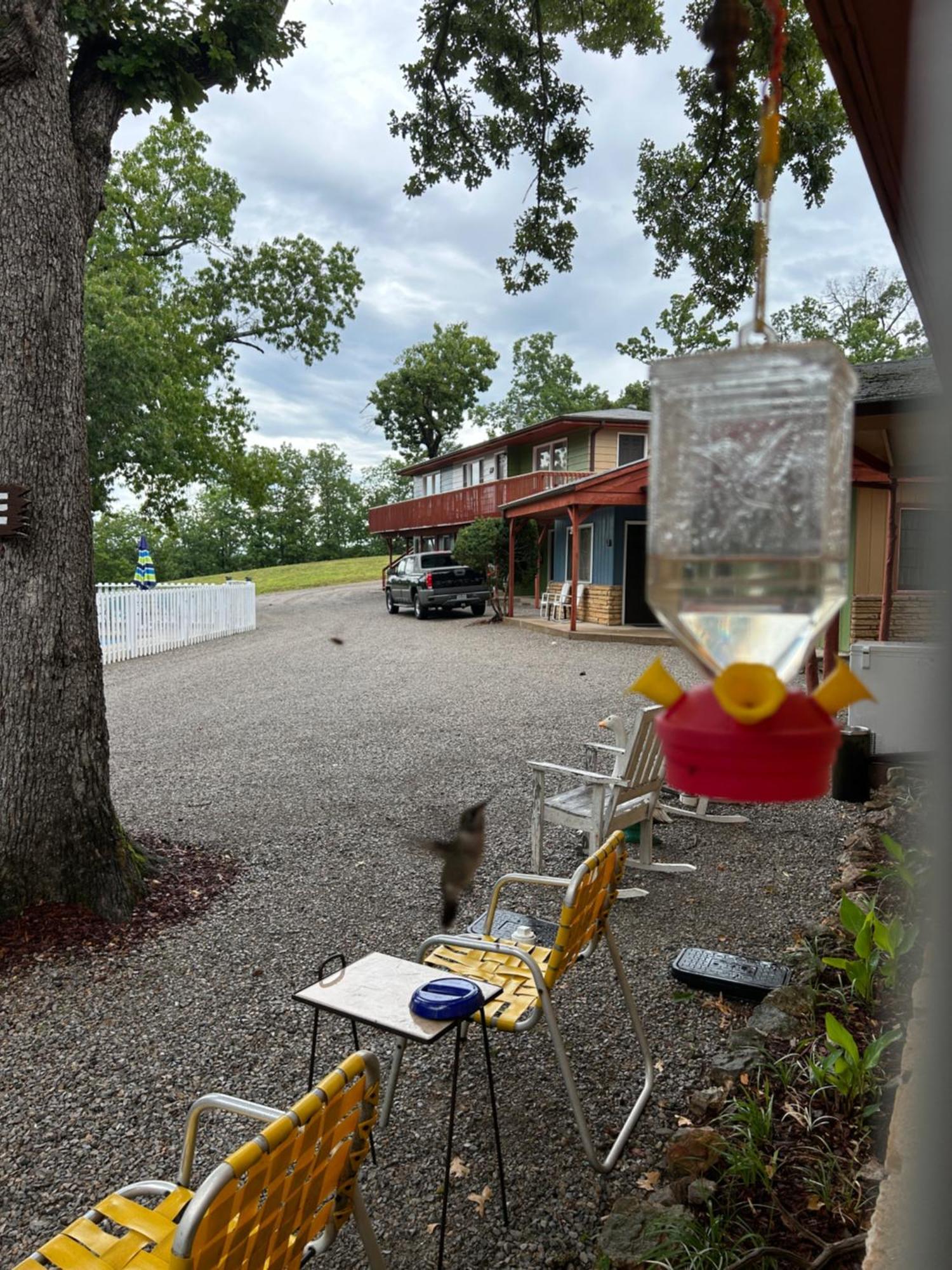 Driftwood Resort Bull Shoals Exteriör bild